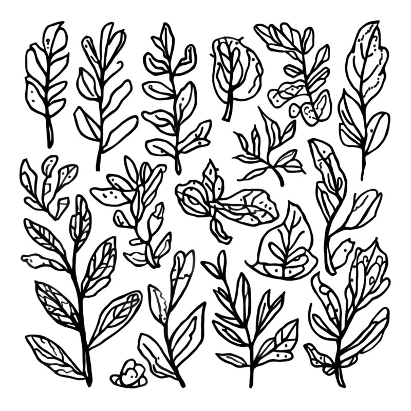 Rideaux noirs à motif de feuilles botaniques, voilages et voilages occultants - 1 panneau, 50 po x 92 po - 1 panneau