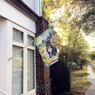 Dowden Double Sided 40'' H x 28'' W Polyester House Flag
