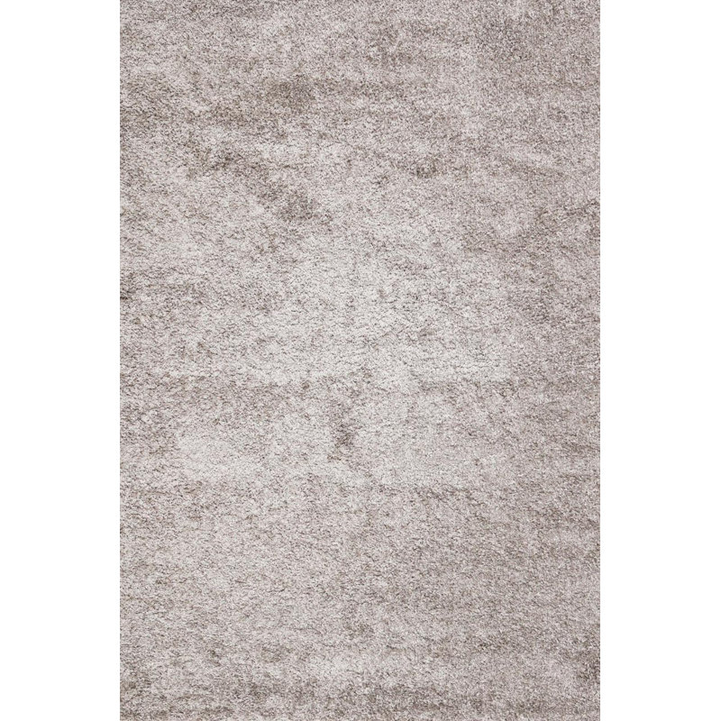 Tapis d'intérieur / extérieur gris Inamae, Rectangle de 5 pi x 7 pi