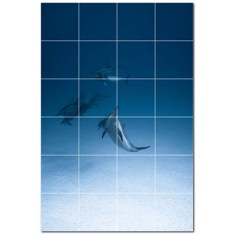 Murale décorative en céramique 6 "x 6" Dolphin Photo