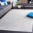 Orlandria Performance Machine Washable Rug-447636380