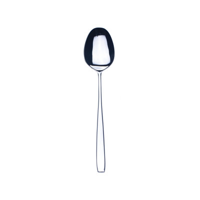 Avanguardia Stainless Steel Serving Spoon