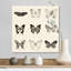 « Butterfly BW 9 patch » par Debra Van Swearingen-impression-1954175067-1954175064