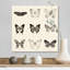 « Butterfly BW 9 patch » par Debra Van Swearingen-impression-1954175067-1954175066