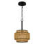 Mini-luminaire suspendu noir mat 1 lumière Teton