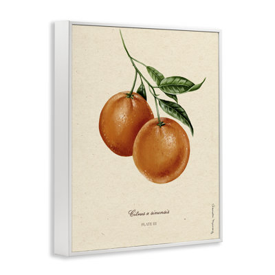 «Orange Fruit Portrait», estampe numérique, design par Danielle Murray