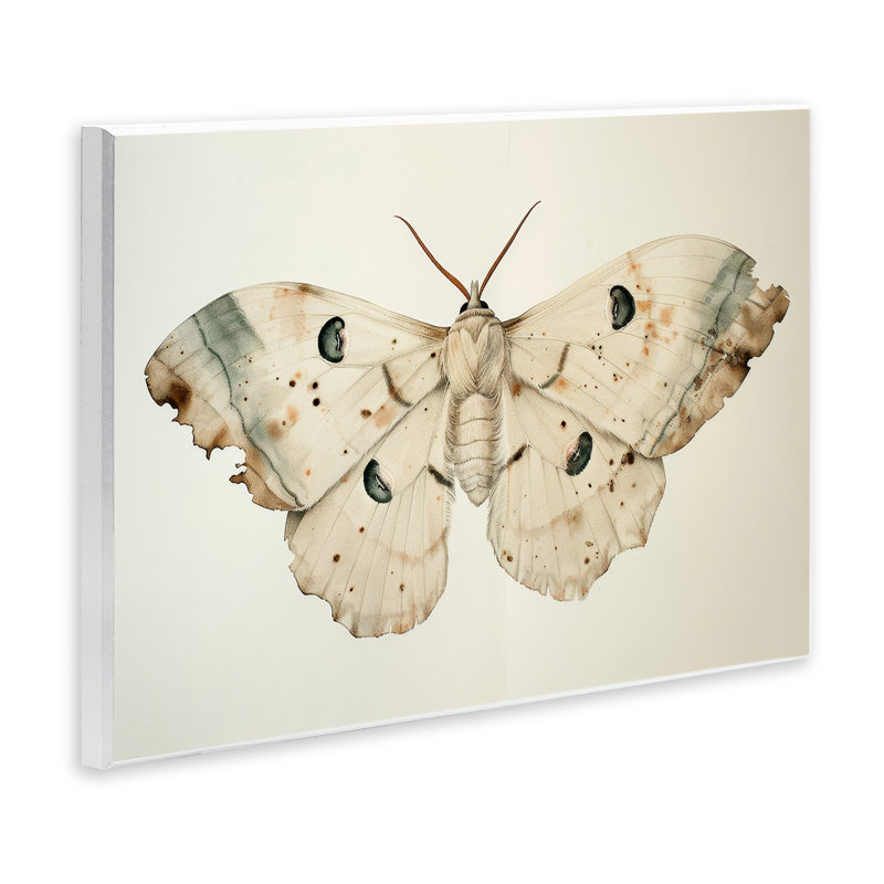 Art mural rétro sur papillon de nuit par Petal Prints Design, H 10 po x l 15 po