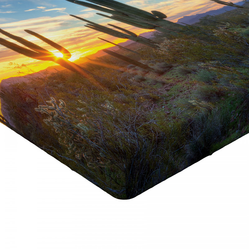 Drap-housse Saguaro, Drap-housse de taille double