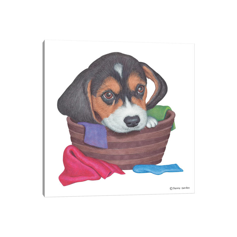 Beagle In Laundry Basket by Danny Gordon - Wrapped Canvas Print, 66.04 cm H x 66.04 cm W