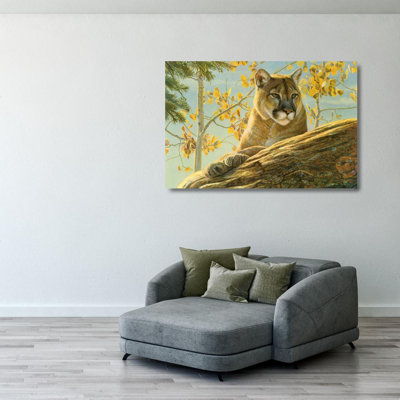 Front Range Cougar