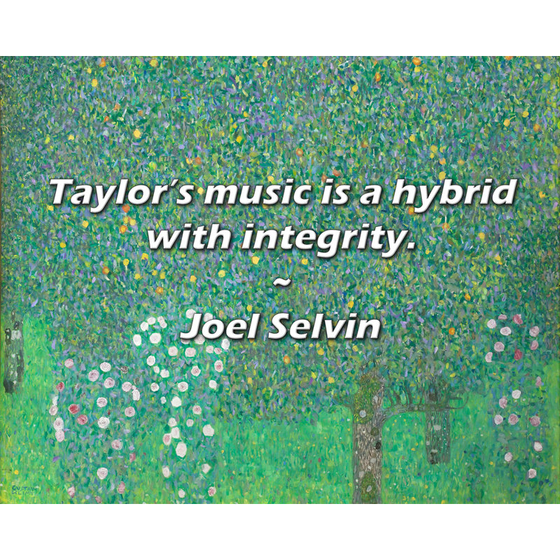 Citation de Joel Selvin: La musique de Taylor est un hybride avec intégrité., H 26 po x l 32 po