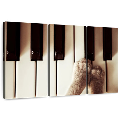 Abarca Paws On Piano