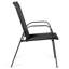 Ensemble de 2 chaises de patio Red Barrel Studio® avec jardin en acier