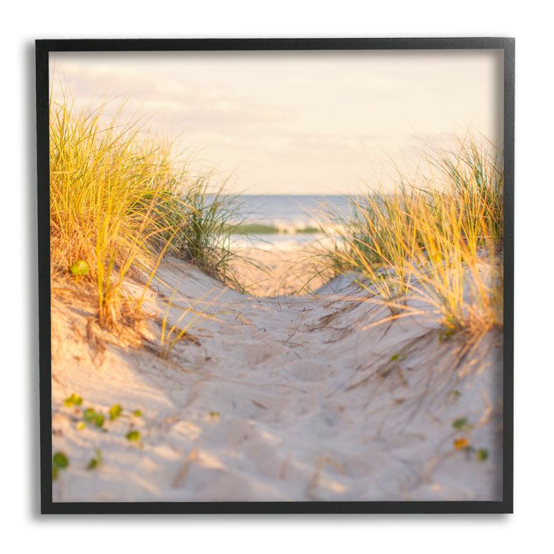 «Beach Sand Dunes Path» encadré sur bois par Michael Quackenbush, photographie, Giclée encadrée noir minuit