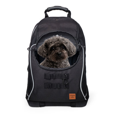  Sac à dos pour animaux de compagnie Adventure-Ready avec ventilation, base renforcée et boucles de fixation pour équipement