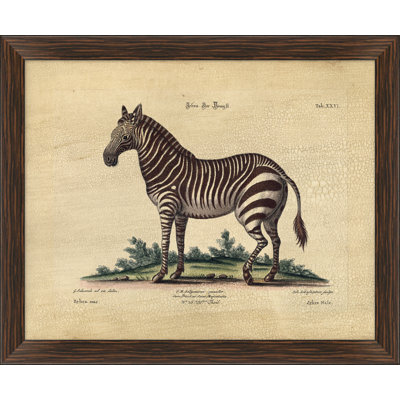 Crackled Zebra " Crackled Zebra II "