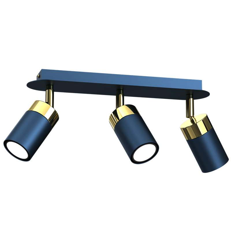 Breidy Spotlight, Blue/Gold