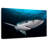 Brampt Underwater Blue Shark-108126808