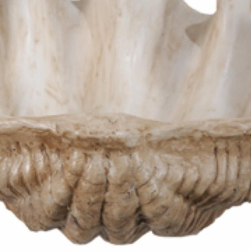 Clemetine Shell Figurine / Sculpture Decorative Object