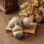 White Washed Etched Acorn 