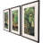 Exotic Landscape Framed Art