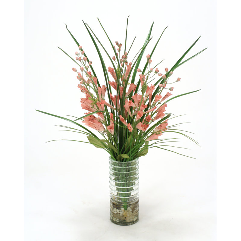 Foxglove, herbe dans un vase en verre, Rose