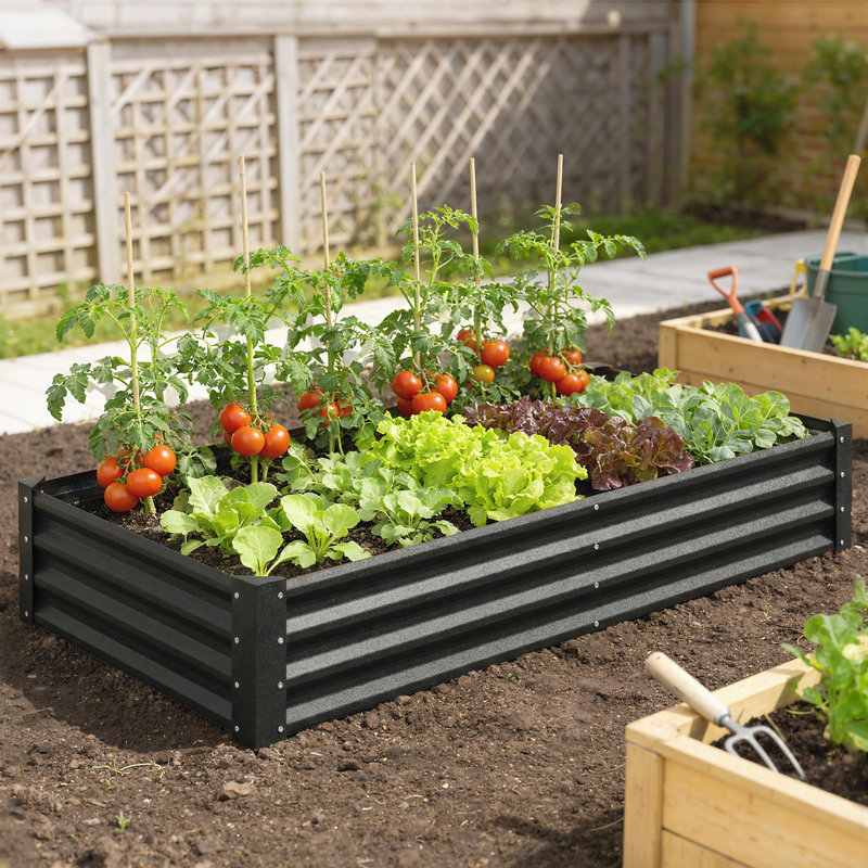 Lit de jardin surélevé galvanisé 6 x 3 x 1 pi, fond ouvert, noir