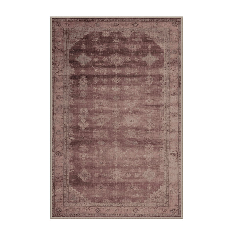 Machine Washable Overdyed Brown Area Rug