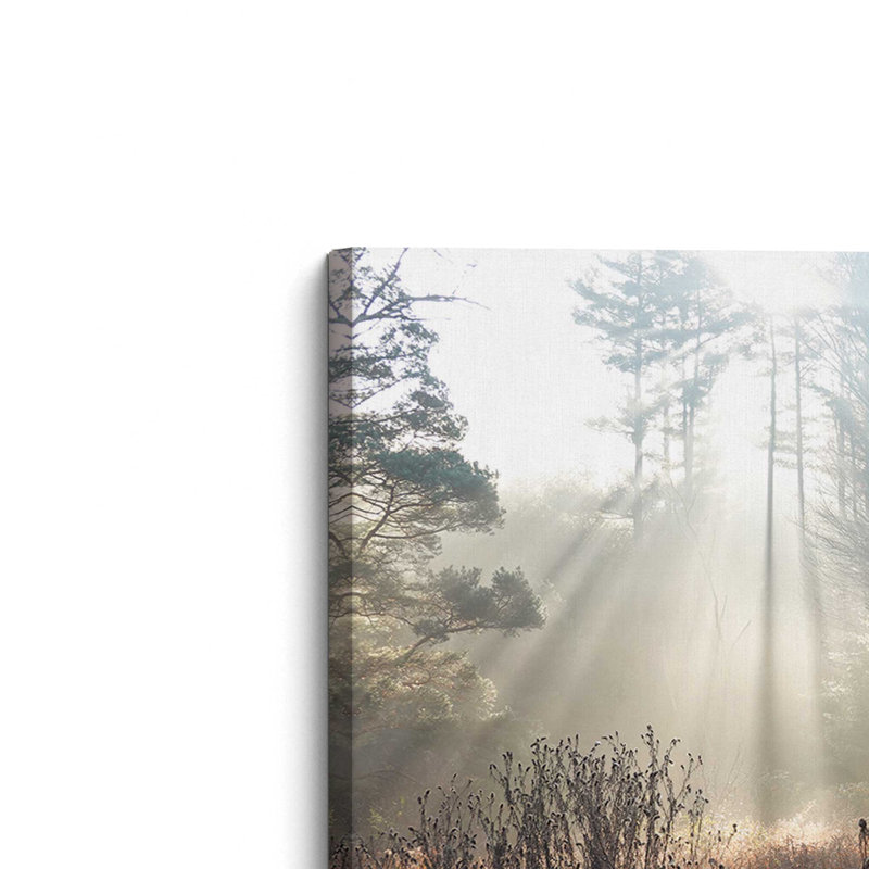 «The Sunlight Above» par Lori Deiter, reproduction d'art, Toile non encadrée, Ne s’applique pas, L 48 x H 32