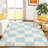 Machine Washable Indoor/Outdoor Micelotta ACN2345 Geometric Rug-1498454329