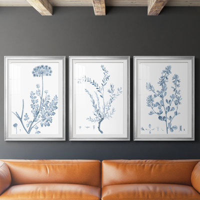 Antique Botanical in Blue V  -Custom Framed  Premium Print W Matt - 3 Pieces