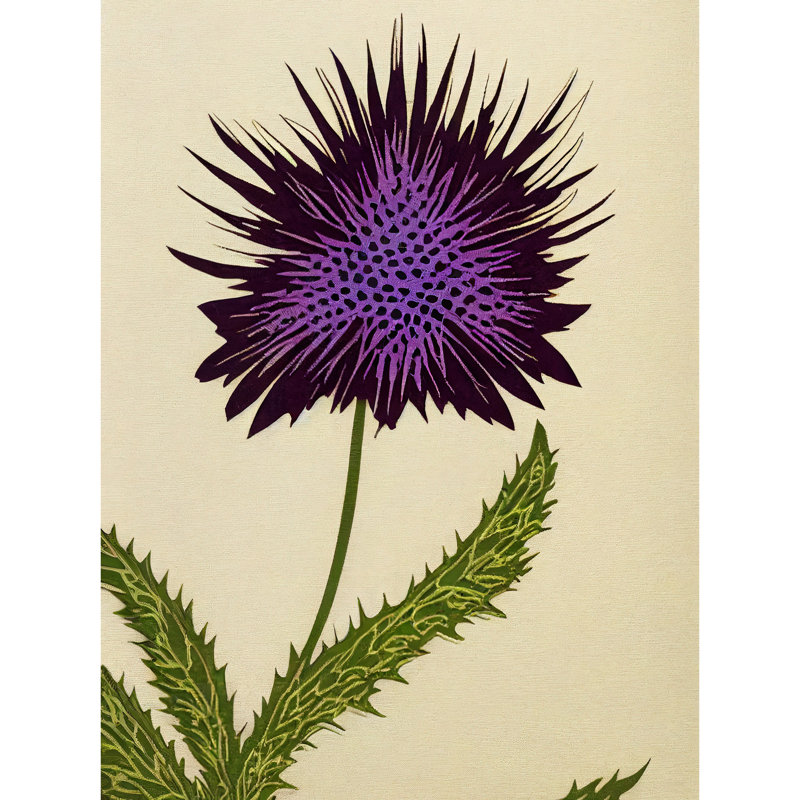 Stylized Modern Scottish Thistle Flower - Print, Unframed, 40.5cm H x 30.5cm W x 0.2cm D