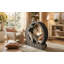Cat Hutch-631119297-631119296