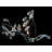 Ruthena Indoor 20 - Bulb 72'' Plug-in String Light
