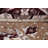 Oriental Indoor Rug