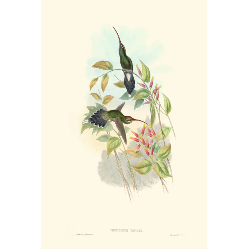Hummingbird Delight I, H 12 po x l 8 po x P 1,25 po