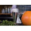 Crafthouse Signature Collection Stainless Steel Wine Accessories