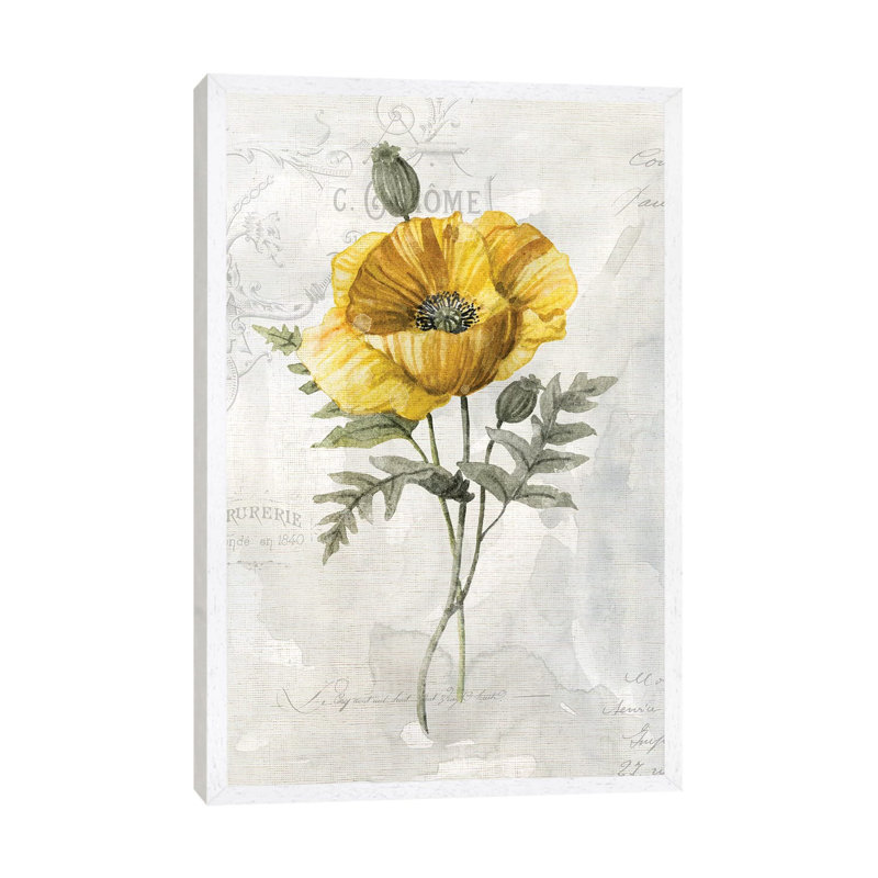 Canary Linen Poppy by Carol Robinson - Print on Canvas, White Framed, 152.5 cm H x 101.5 cm W