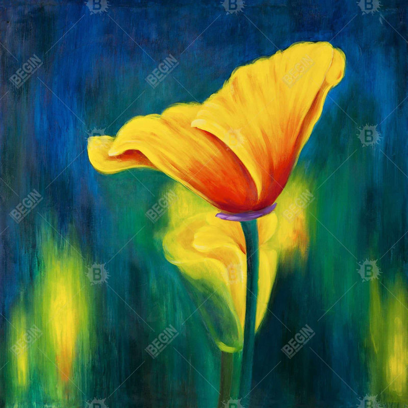 «Superb Contrast Flowers»