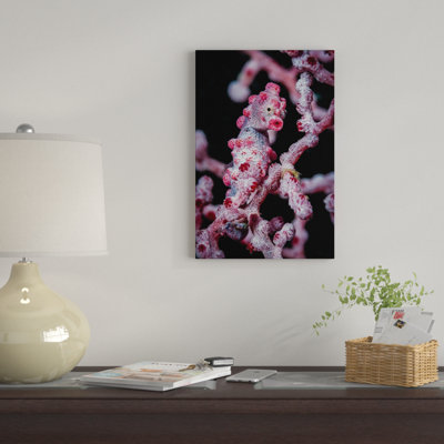 Bargibanti Pygmy Seahorse, Bohol Sea, Philippines by Bruce Shafer - Unframed Gallery-Wrapped Canvas Giclée on Canvas