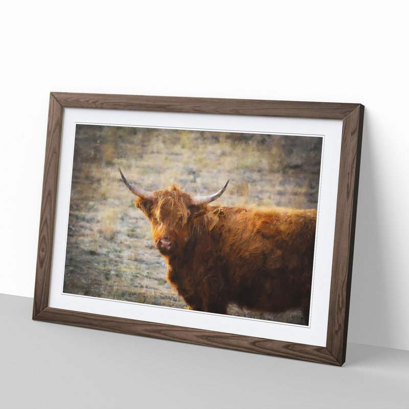 Highland Bull Cow Vol.2 - Framed Print, 27cm H x 36cm W x 2cm D, Walnut Framed