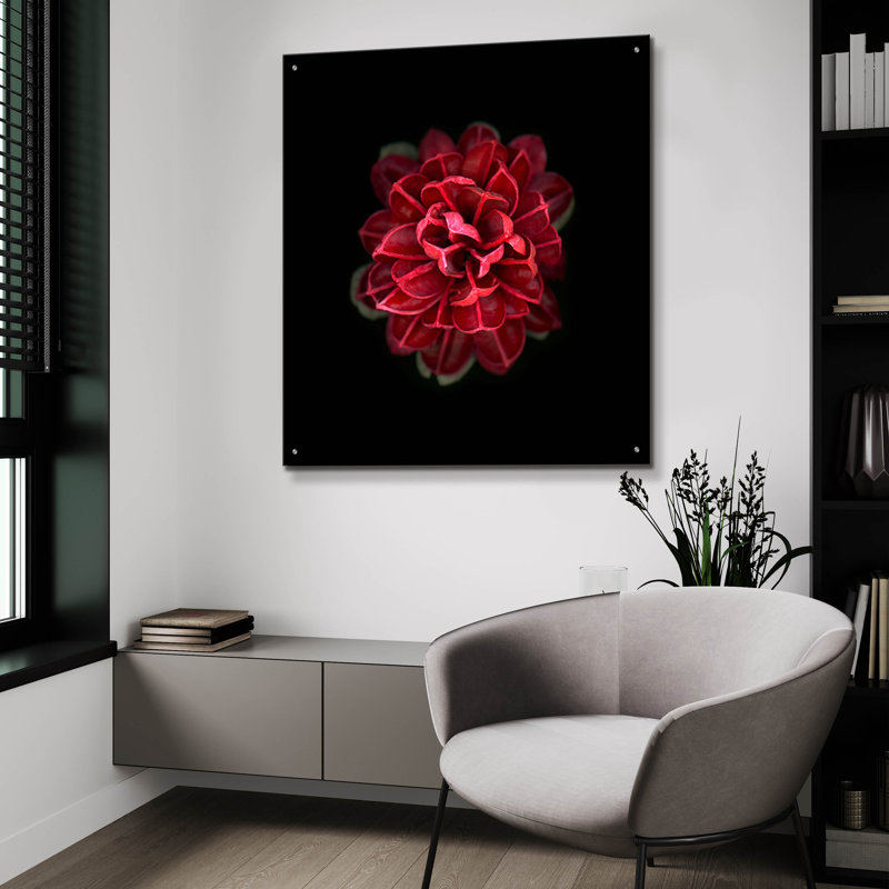 " In Red " by PhotoINC Studio, 36" H x 36" W x 0.2" D