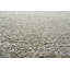 Brackley Area Rug-661894424