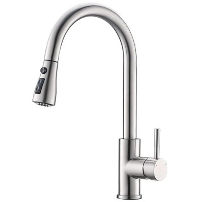Belfry Kitchen Alsea Kitchen Faucet