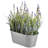 Arrangement in Pot