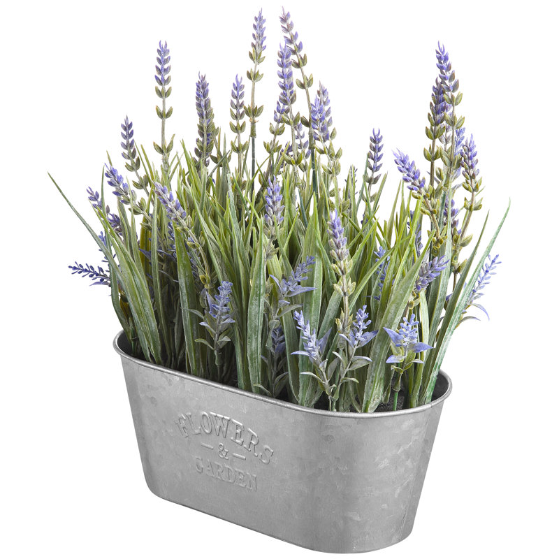 Lavender Arrangement in Galvanized Metal Oblong Pot