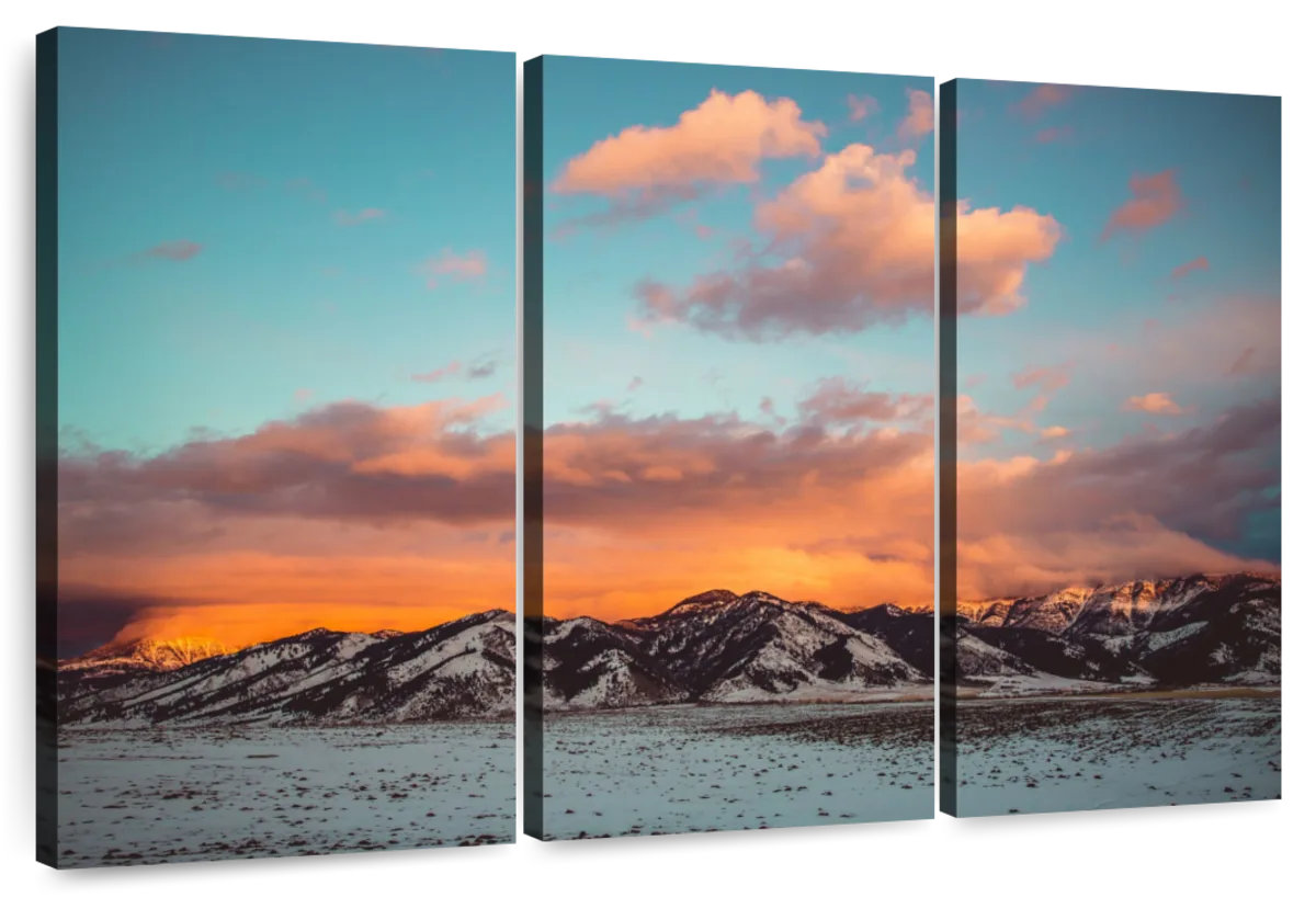 Millwood Pines Alvord Bridger Range Sunset | Wayfair