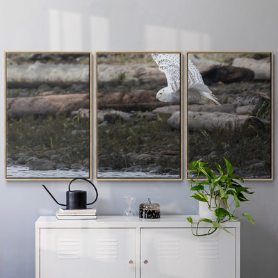 " Solo Flight " 3 - Pieces