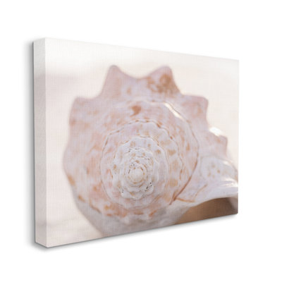 " Beach Life Conch Shell " by Elena Ray