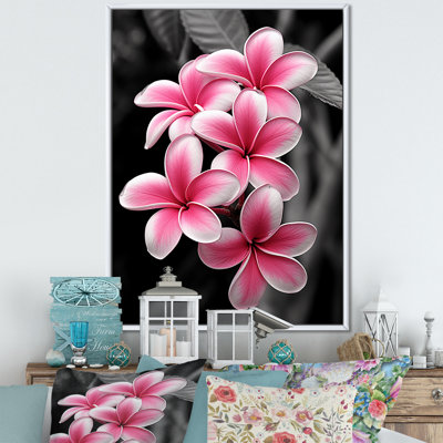 " Plumeria Flower Paradise I "